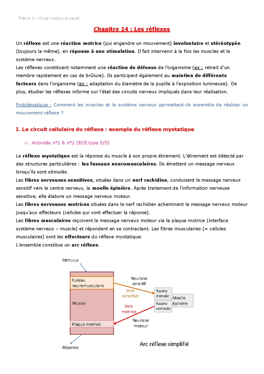 Les réflexes et le trajet du message nerveux - SVT simple