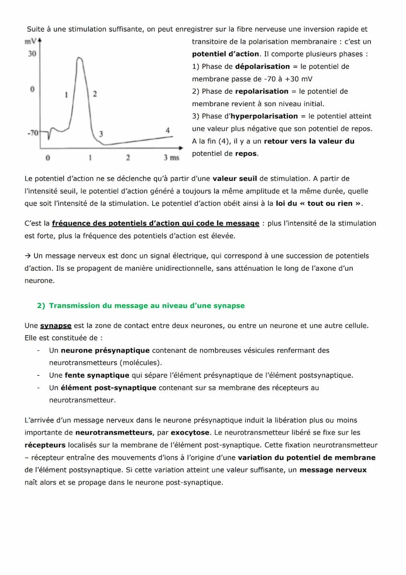 Thème 3 - Corps humain et santé
Un réflexe est une réaction motrice (qui engendre un mouvement) involontaire et stéréotypée
(toujours la mêm