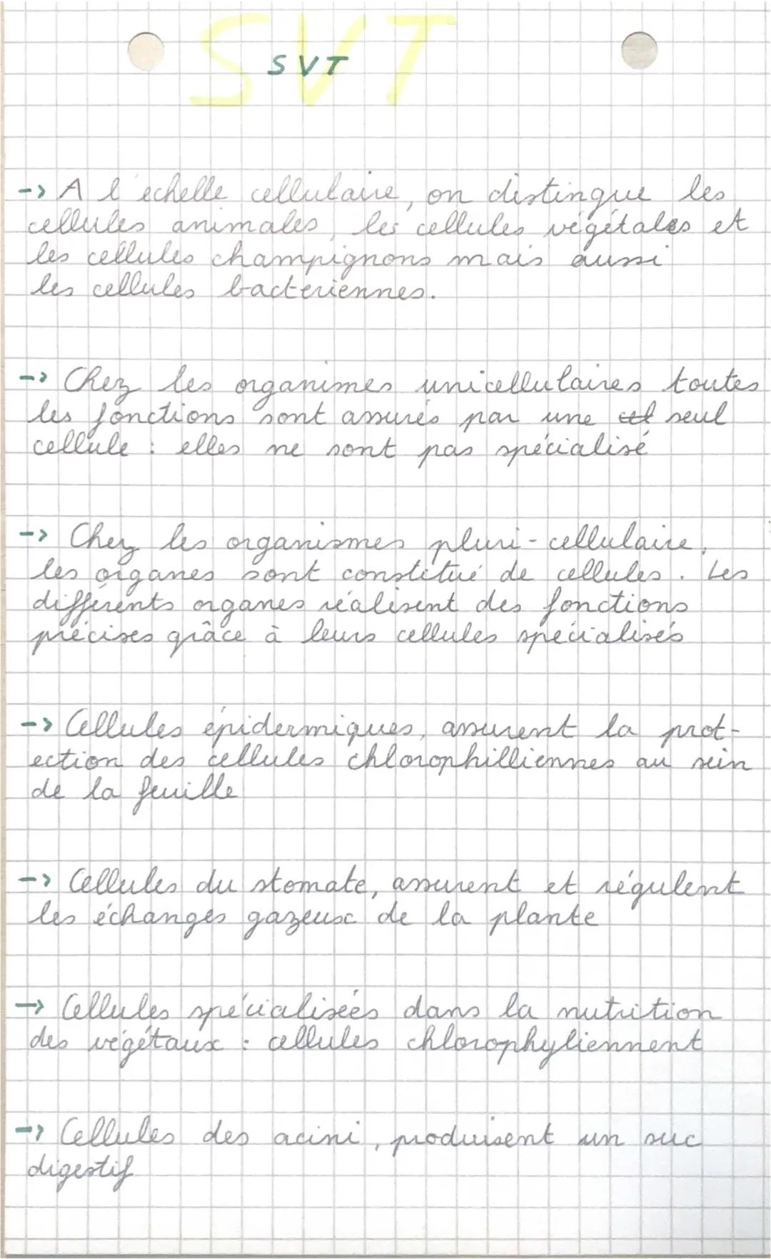 L’organisation des êtres vivants 