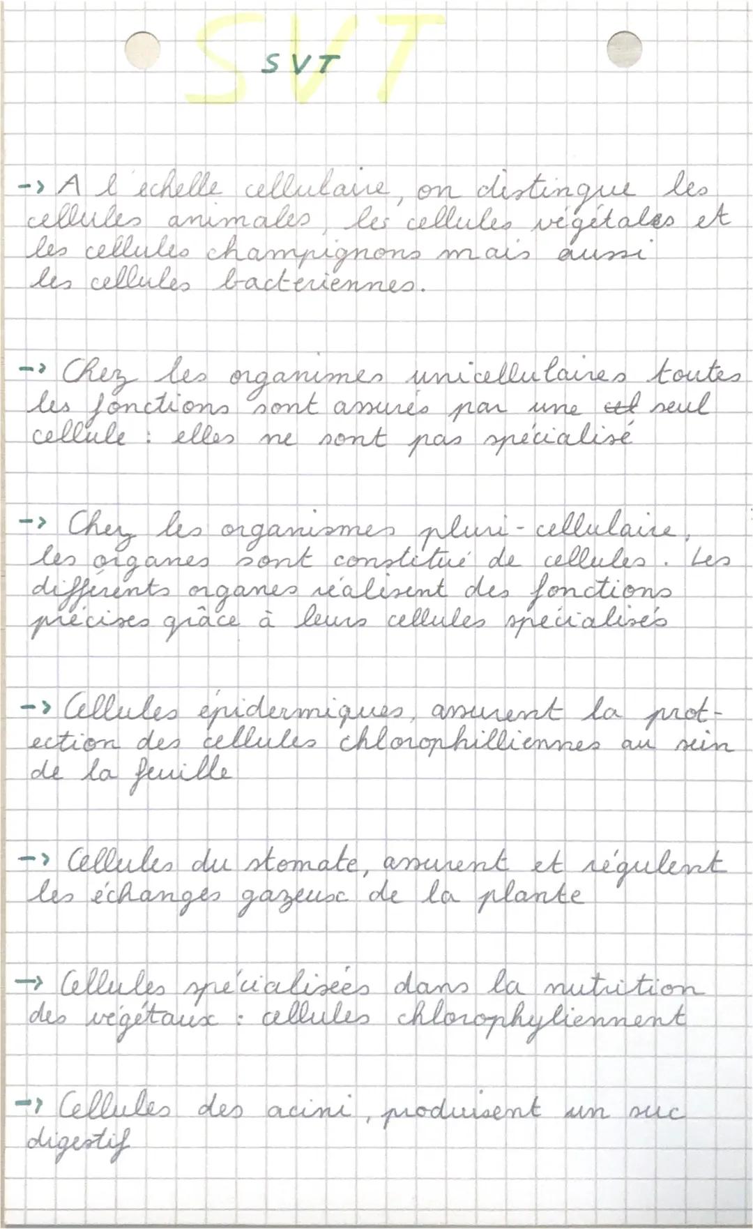 SVT
-> A l'échelle cellulare, on
cellules animales le cellules végétales et
distingue les
les cellules champignons mais aussi
les cellules b