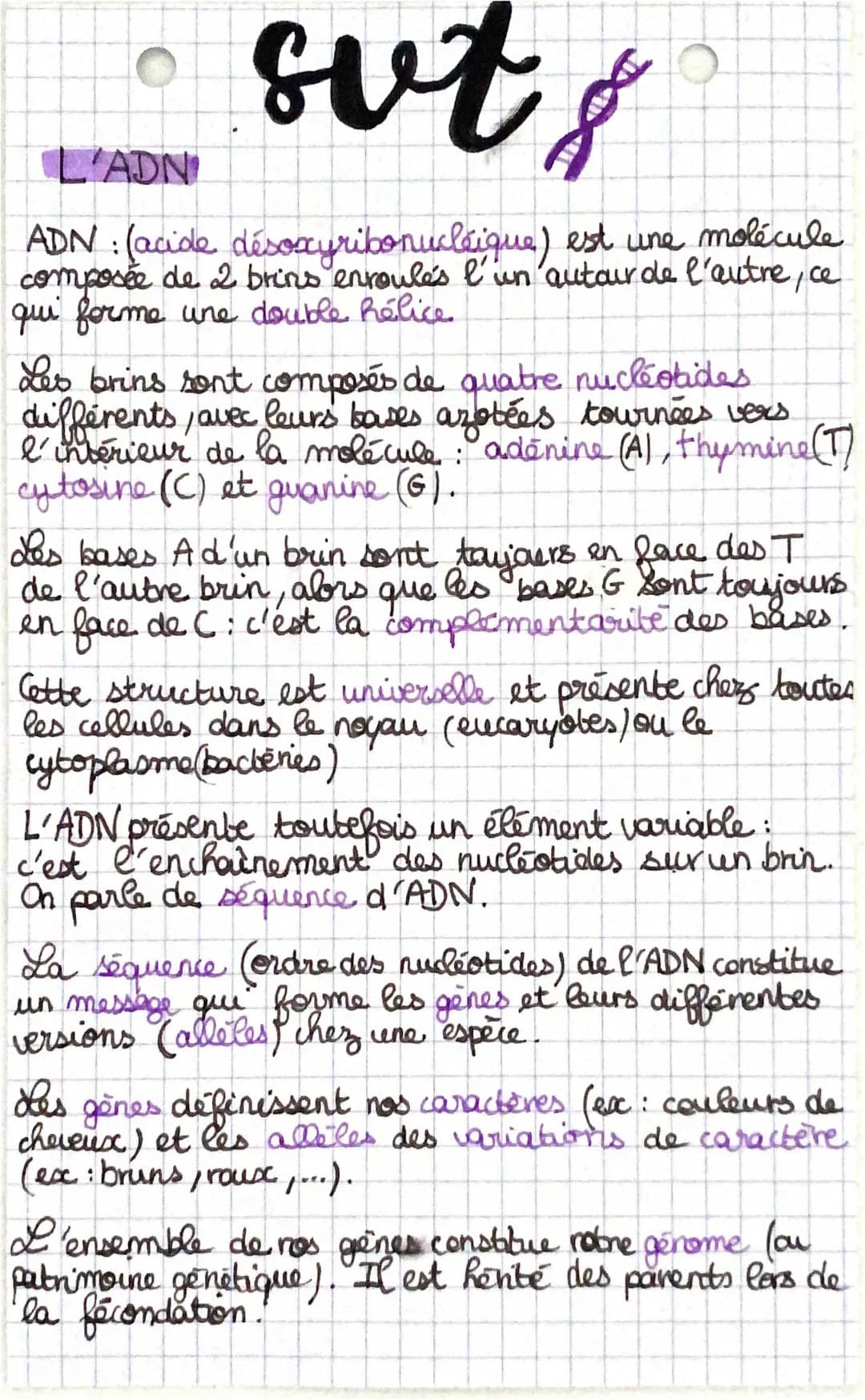 l’adn