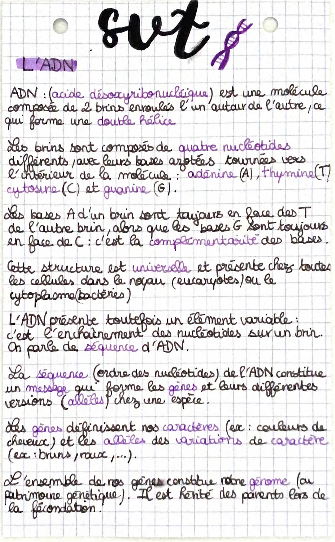 sut &
L'ADN
ADN : (acide désoxyribonucléique) est une molécule
composée de 2 brins enroule's l'un autour de l'autre, ce
qui forme une double