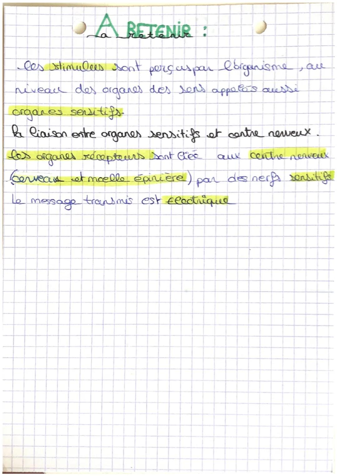 SVT: le système
nerveux.

Structure d'an neurone.

menbrane

nayoul

axone

Synapse

dentrites

Cytheplasme

sens de message Cochique

le me
