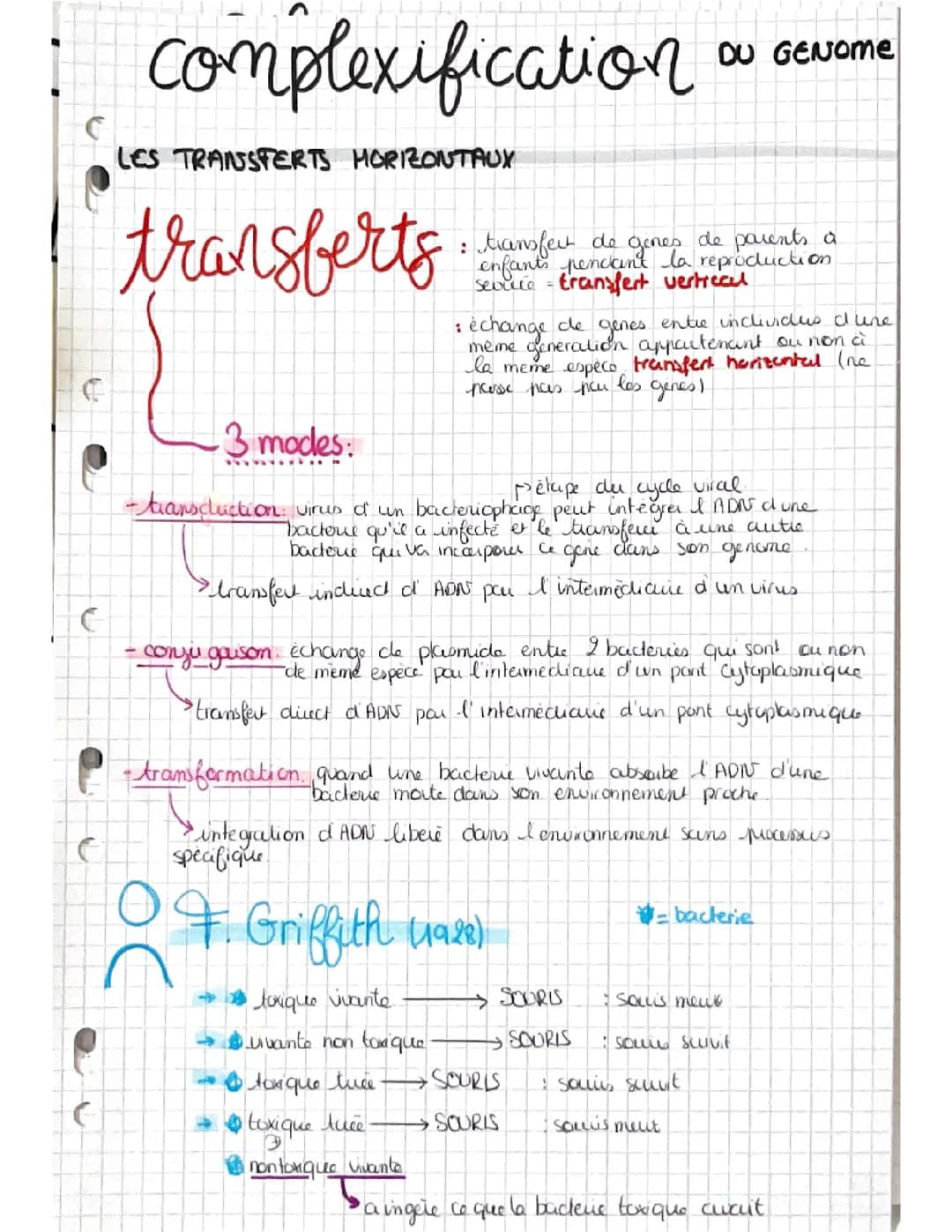 Fiche SVT terminale « complexification du génome »