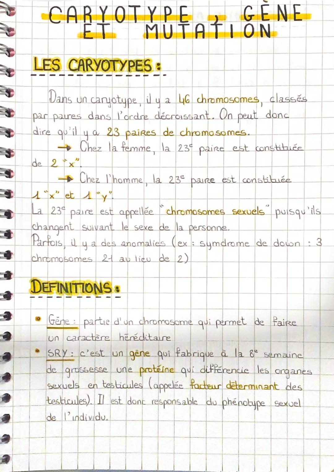 CARYOT MUTATION
GENE
ET
LES CARYOTYPES:
Dans un caryotype, il y a 46 chromosomes, classés
par paires dans l'ordre décroissant. On peut donc.