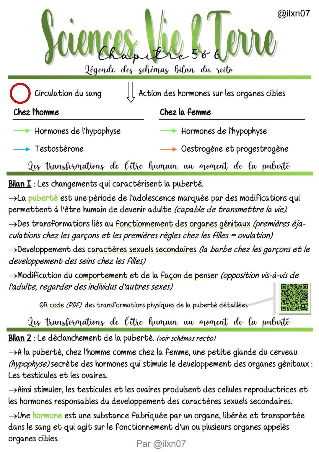 
<p>Le cycle menstruel de la femme comprend plusieurs phases, avec des événements spécifiques qui se produisent à chaque étape. La première 