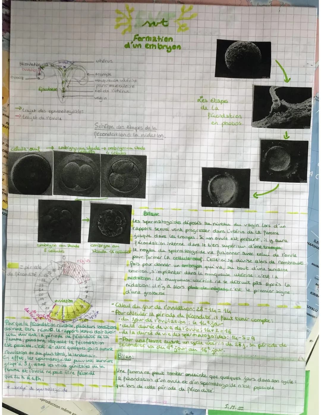 NDIA
TRAF
P.D
W
Ma
Pécondation
ovulation
Ovoire
trajet des spermatozoides
→ trajet de revuls
cellute ou
Saulation
=péciade
de fécondite
de
a