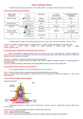 Know SVT 5ème - alimentation et digestion thumbnail