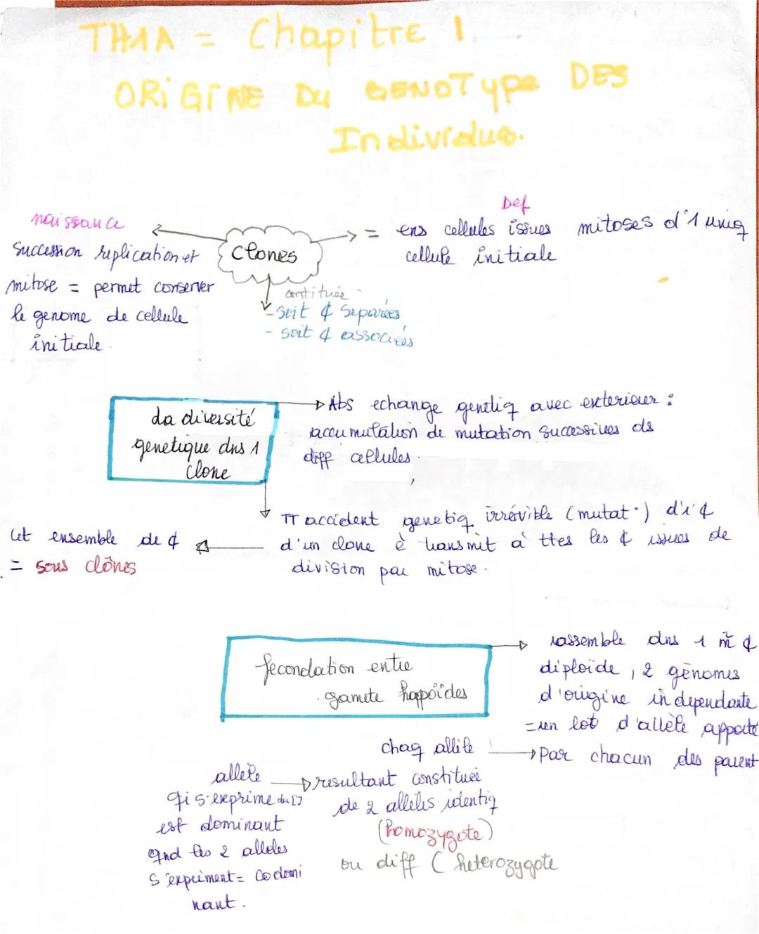 Fiche de révision SVT Terminale 2024 : Génétique et diversité (PDF)