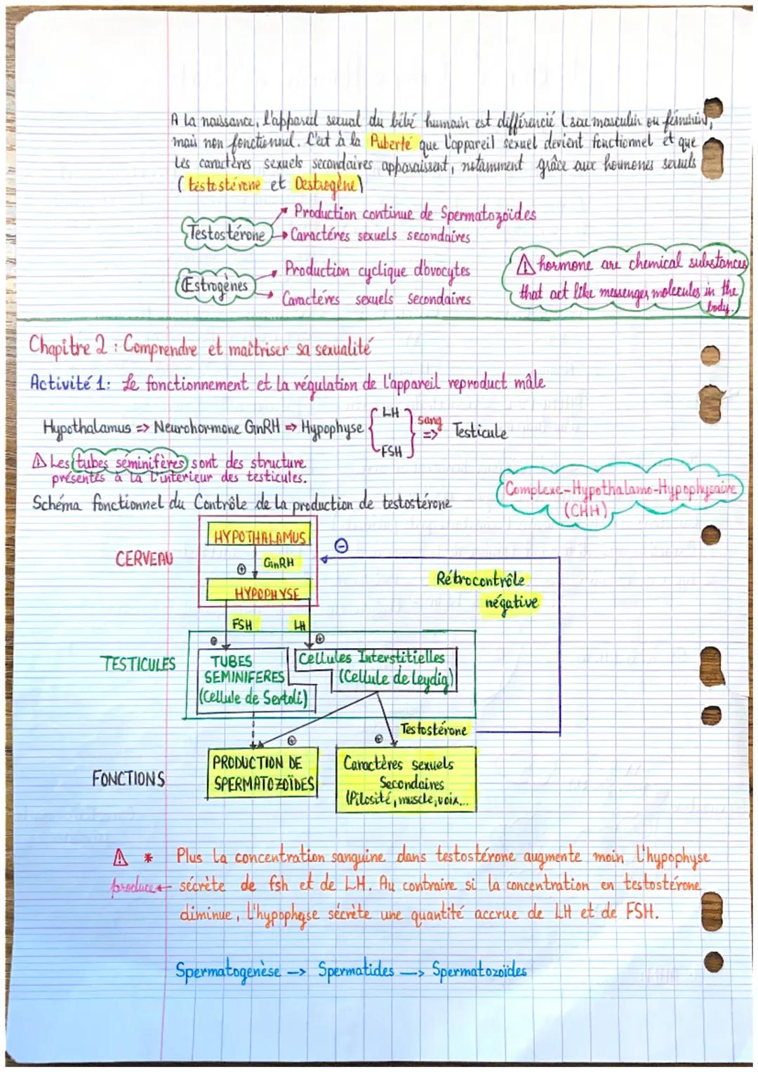 UM
Fécondation →
Thème 3: Corps Humain et Santé
LE Déterminisme génétique du sexe.
L'identité sexuelle (3 échelles différentes) A l'échelle 