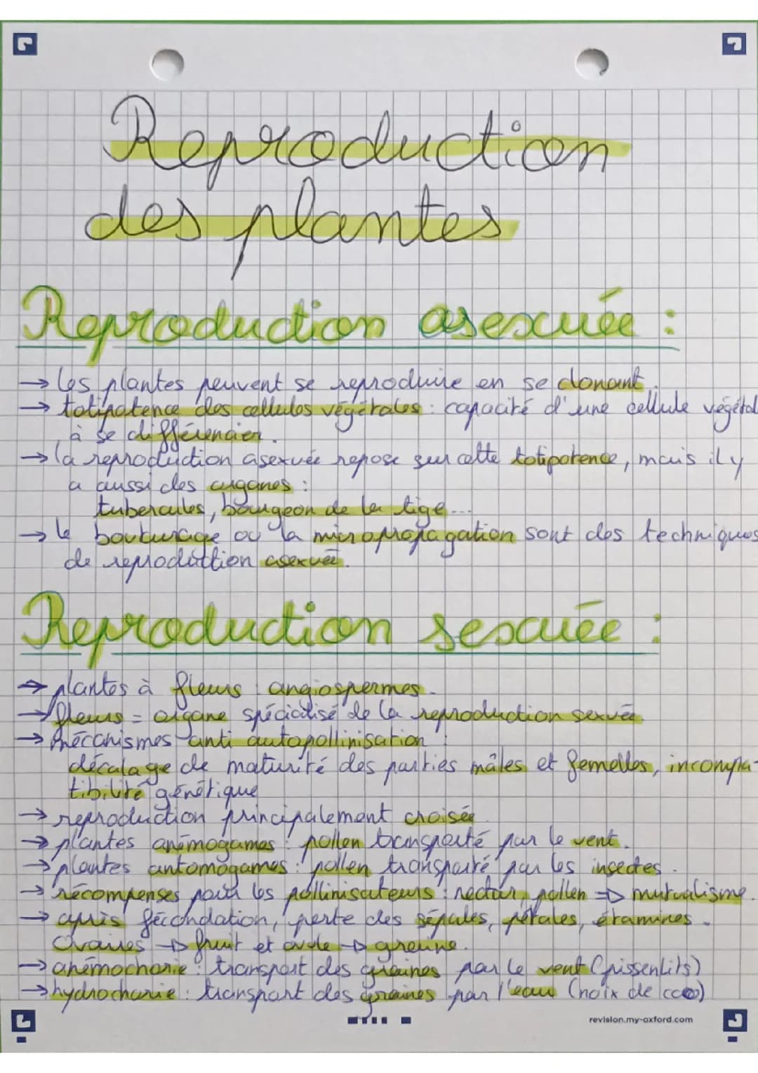 Reproduction des plantes.