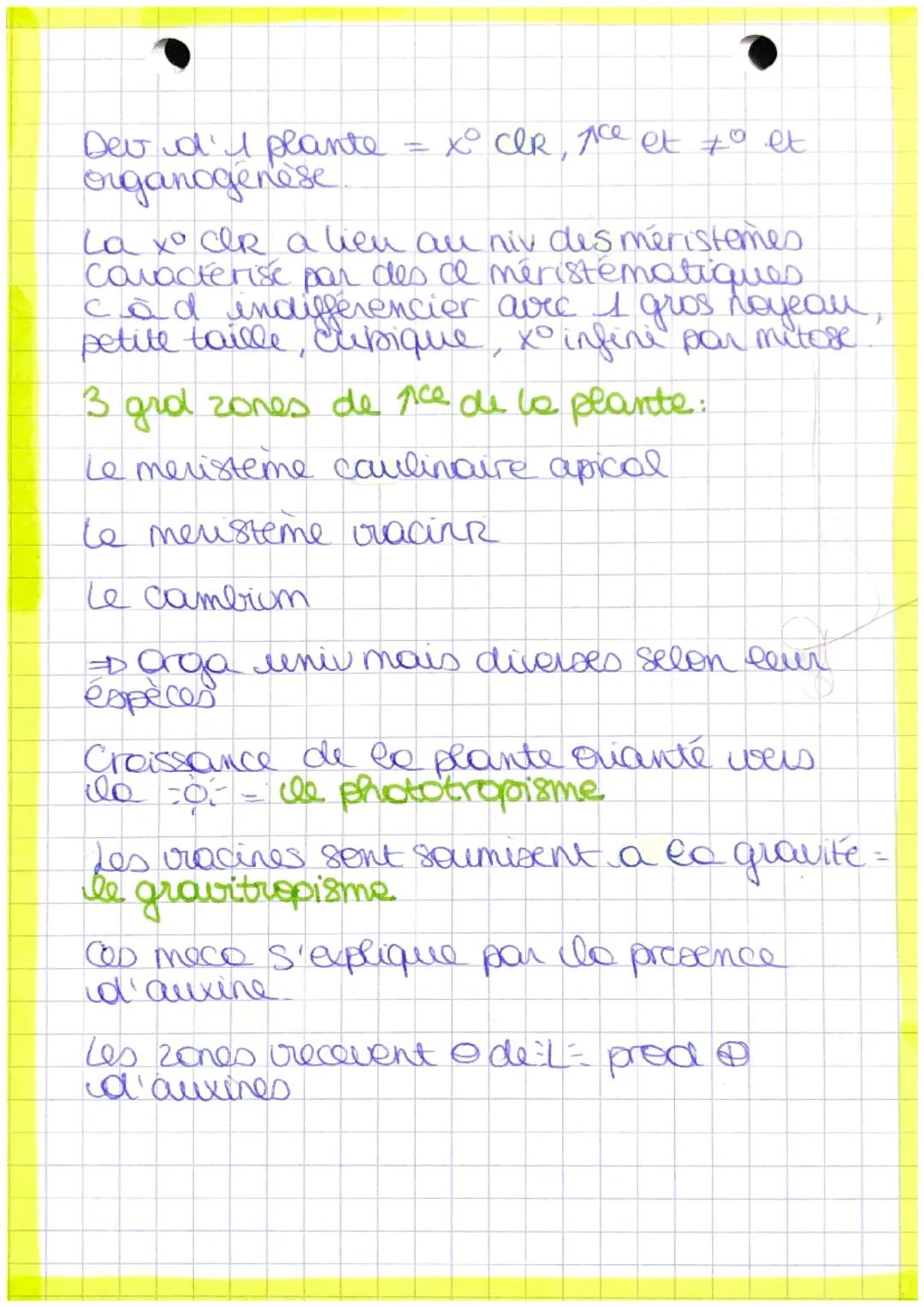 p
a
nt
bourgeon apicale
feuille
Recup Myere
[Pred matière
tige
orga
lumière + Co₂
racine
Autotrophe: Orge
capable synthetise so
MO a parter 