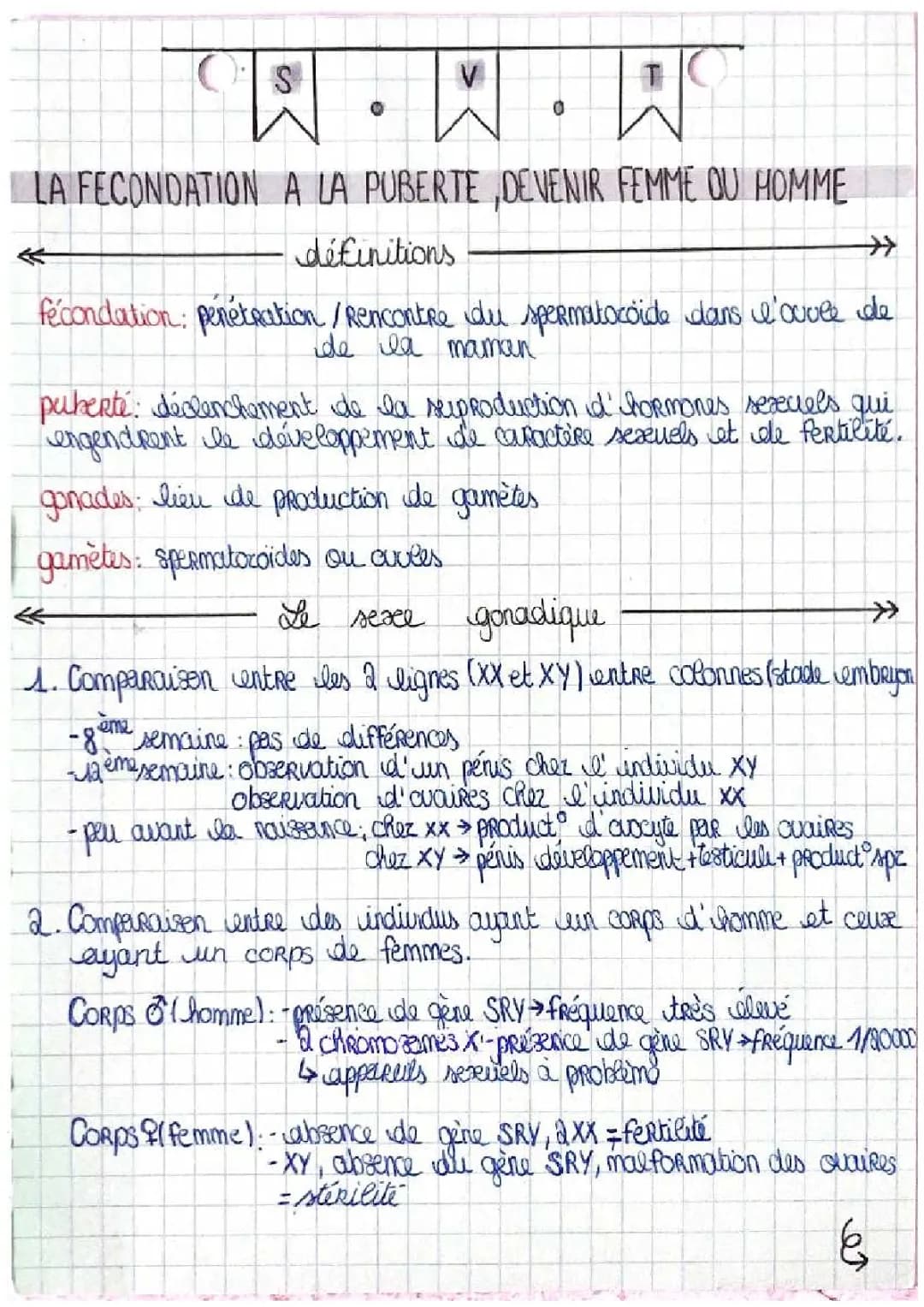 De la fécondation à la puberté: Exercices et Évaluation (Seconde)