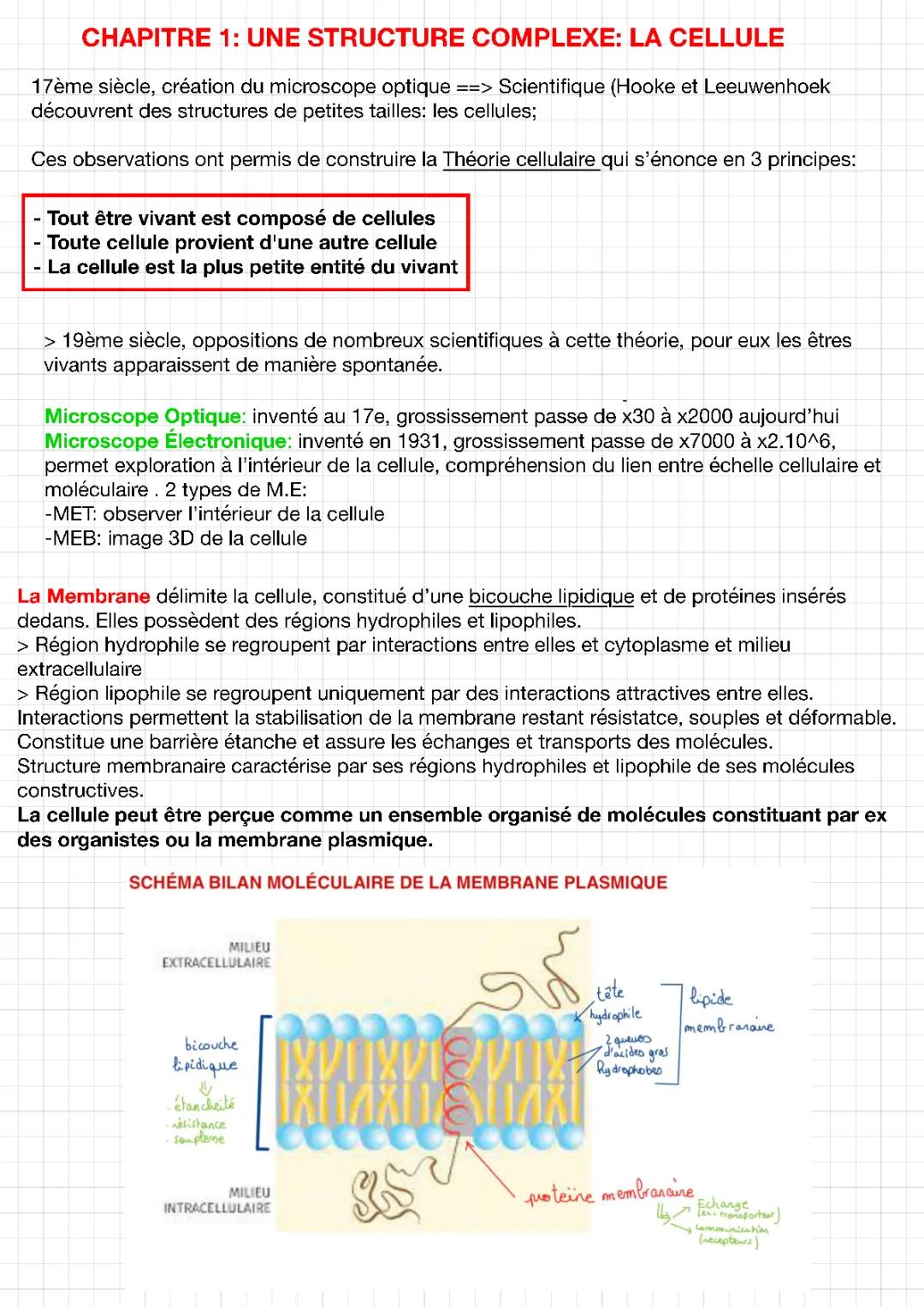 La cellule vivante : une structure complexe - Exercices et PDF