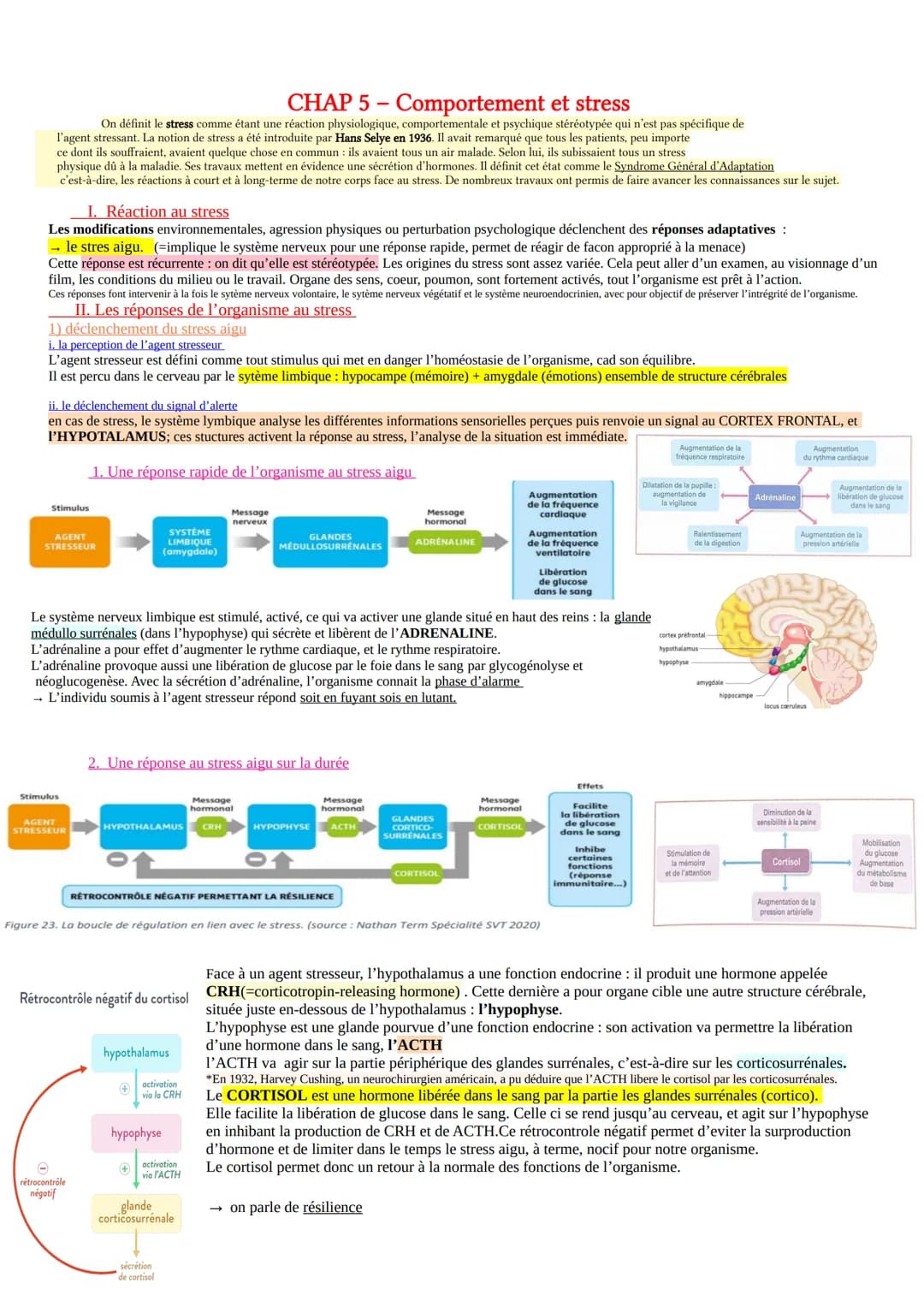 CHAP 5-Comportement et stress
On définit le stress comme étant une réaction physiologique, comportementale et psychique stéréotypée qui n'es