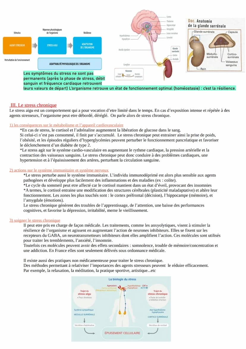 CHAP 5-Comportement et stress
On définit le stress comme étant une réaction physiologique, comportementale et psychique stéréotypée qui n'es