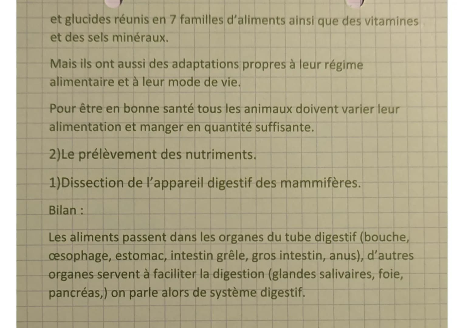 et glucides réunis en 7 familles d'aliments ainsi que des vitamines
et des sels minéraux.
Mais ils ont aussi des adaptations propres à leur 