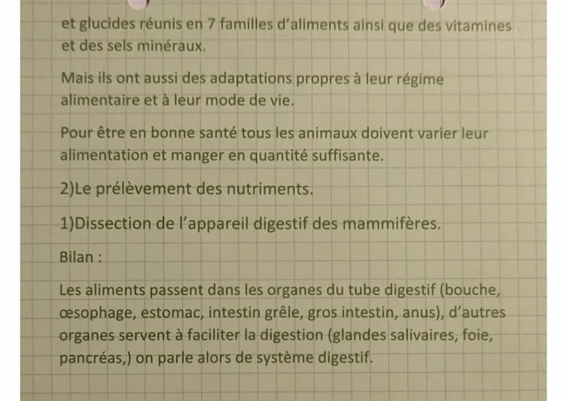 et glucides réunis en 7 familles d'aliments ainsi que des vitamines
et des sels minéraux.
Mais ils ont aussi des adaptations propres à leur 