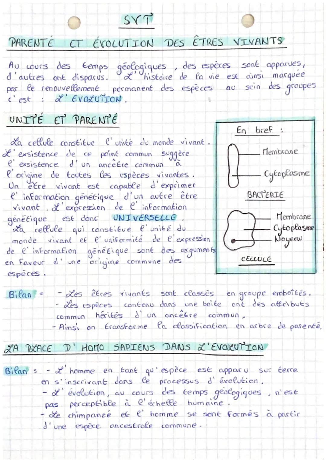 SVT
PARENTÉ ET ÉVOLUTION DES ÊTRES VIVANTS
Au cours des temps géologiques, des espèces sont apparues,
d'autres ont disparus.
L'histoire de l