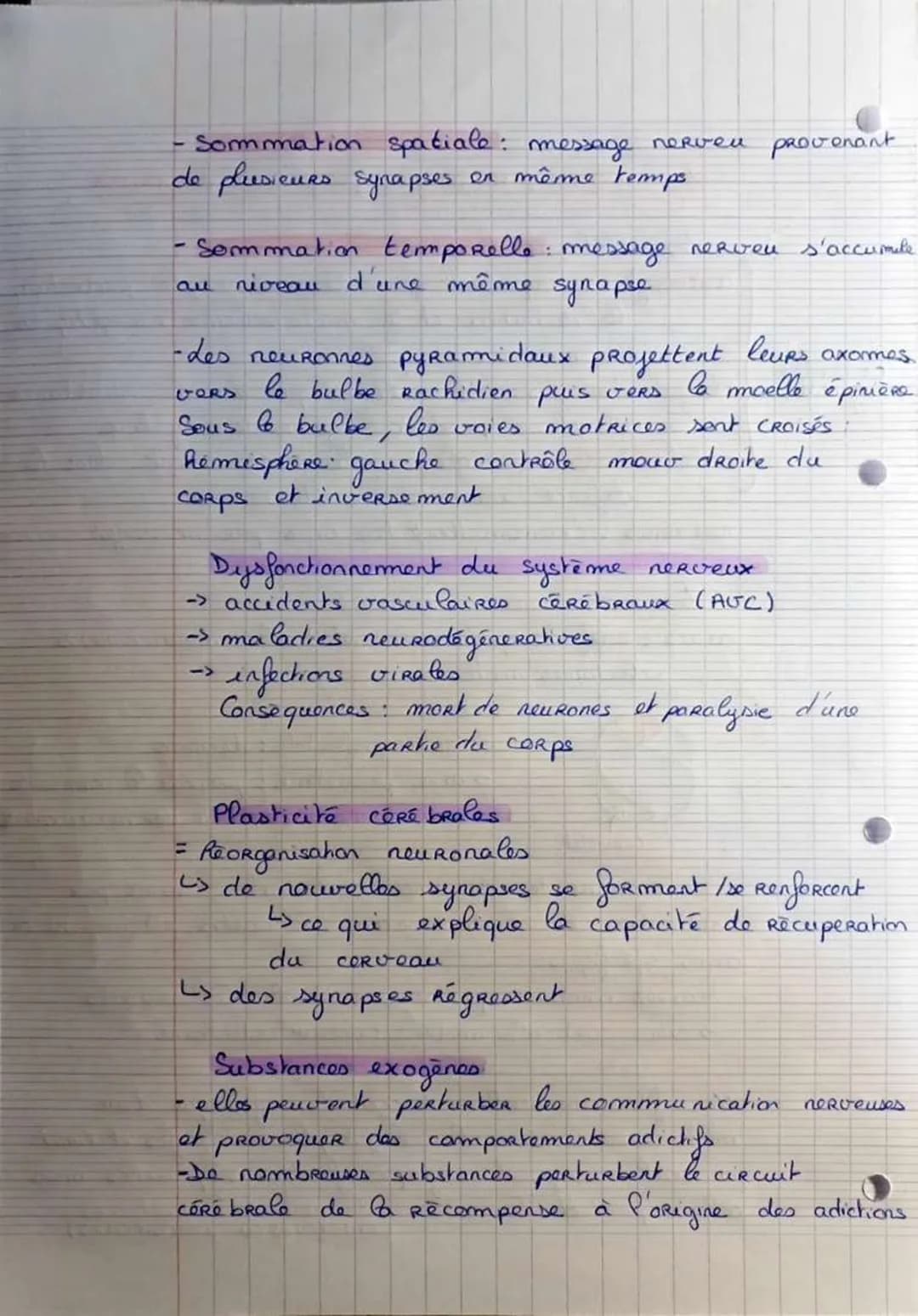 ceflufes
gliates
Le cerveau
Les cellules et leur Rôle
astrocytes: important pour le support, la protection,
la nutrition et le métabolisme é