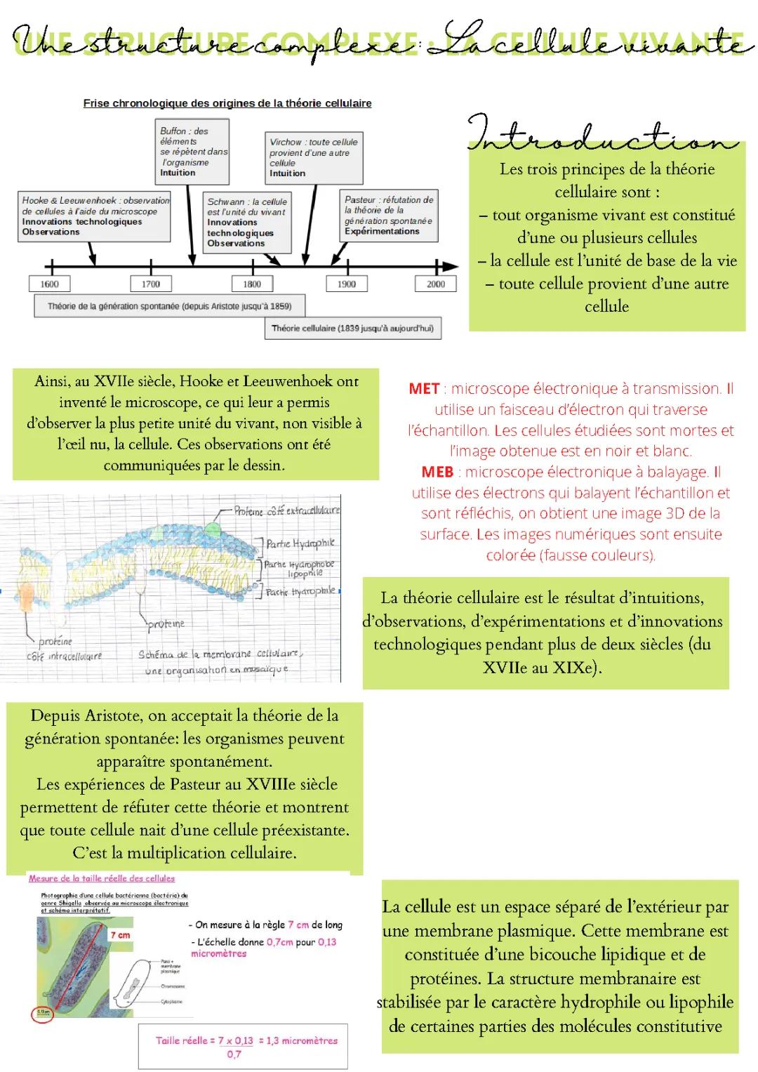 Une Structure Complexe : La Cellule Vivante et Son Microscope - Exercices et PDF