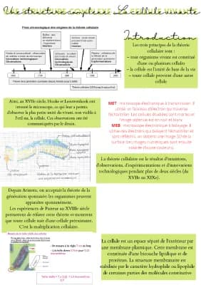 Know une structure complexe : La cellule thumbnail