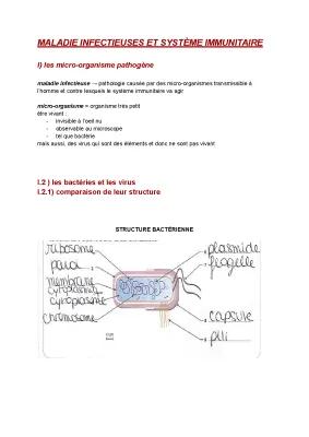 Know BIOLOGIE système immunitaire  thumbnail