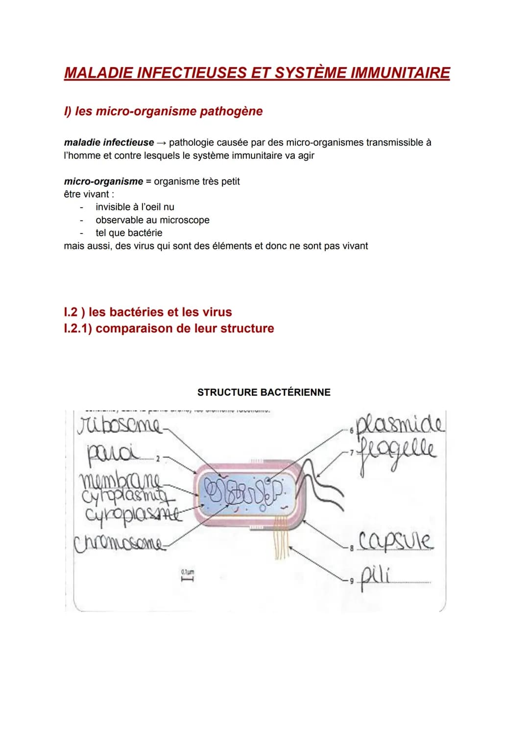 
<p>Le système immunitaire est le mécanisme de défense de l'organisme contre les micro-organismes pathogènes. Les maladies infectieuses sont