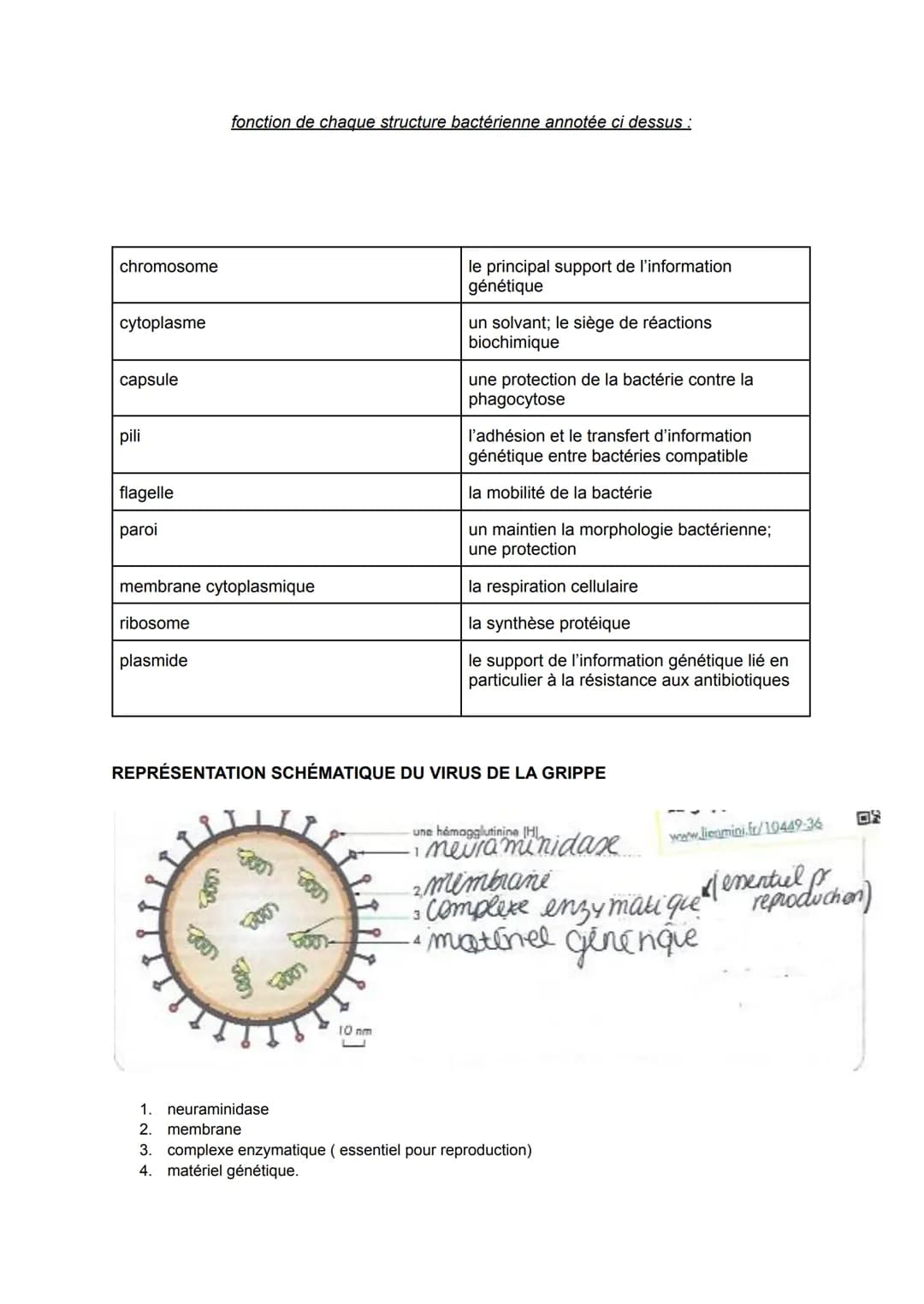 
<p>Le système immunitaire est le mécanisme de défense de l'organisme contre les micro-organismes pathogènes. Les maladies infectieuses sont