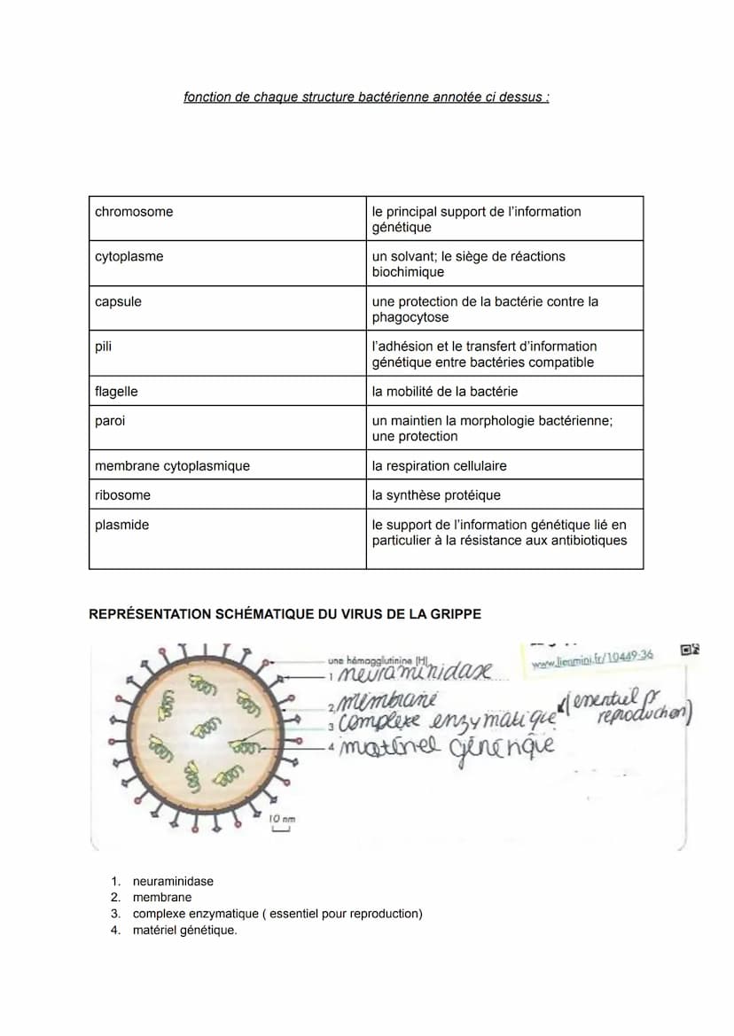 
<p>Le système immunitaire est le mécanisme de défense de l'organisme contre les micro-organismes pathogènes. Les maladies infectieuses sont