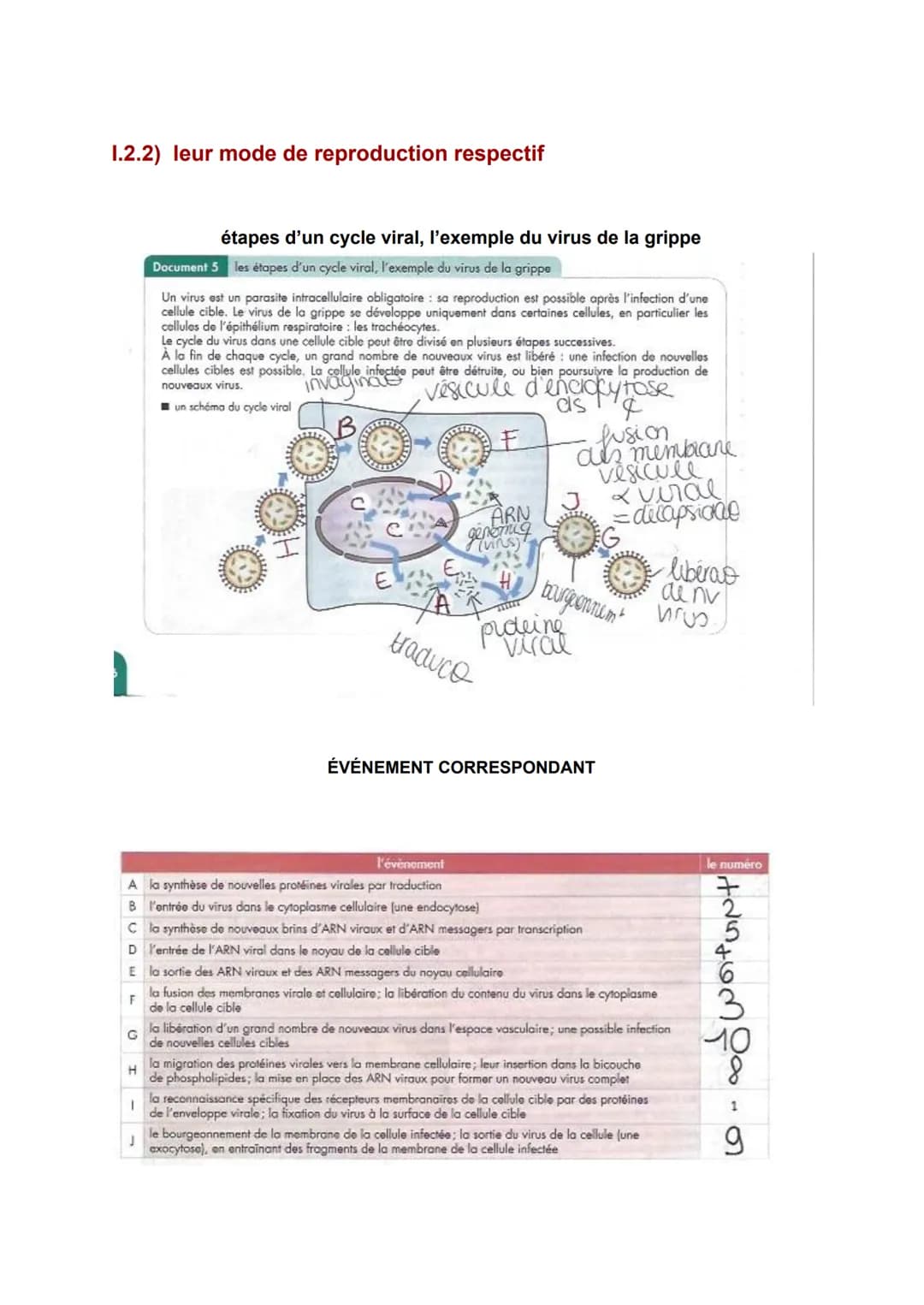 
<p>Le système immunitaire est le mécanisme de défense de l'organisme contre les micro-organismes pathogènes. Les maladies infectieuses sont