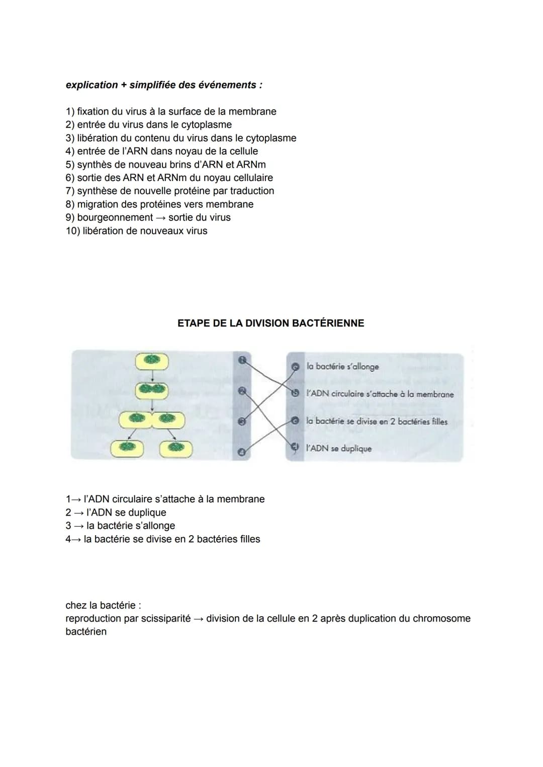 
<p>Le système immunitaire est le mécanisme de défense de l'organisme contre les micro-organismes pathogènes. Les maladies infectieuses sont