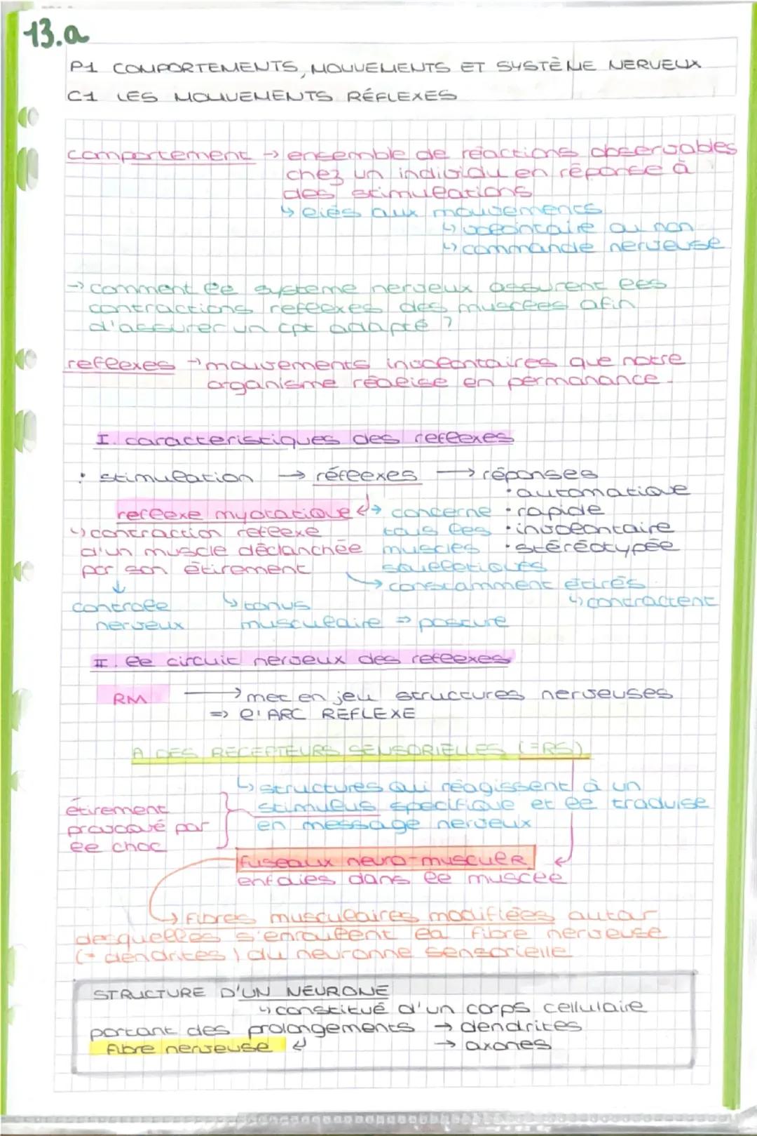 13.a
P1 COMPORTEMENTS, MOUVEMENTS ET SYSTÈME NERVEUX
C1 LES MOUVEMENTS RÉFLEXES
comportement → ensemble de reactions observables
chez un ind