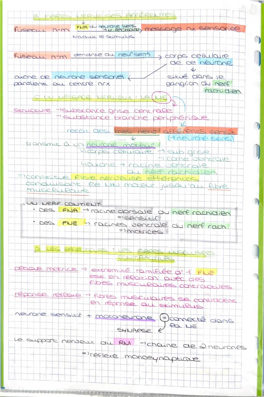 13.a
P1 COMPORTEMENTS, MOUVEMENTS ET SYSTÈME NERVEUX
C1 LES MOUVEMENTS RÉFLEXES
comportement → ensemble de reactions observables
chez un ind