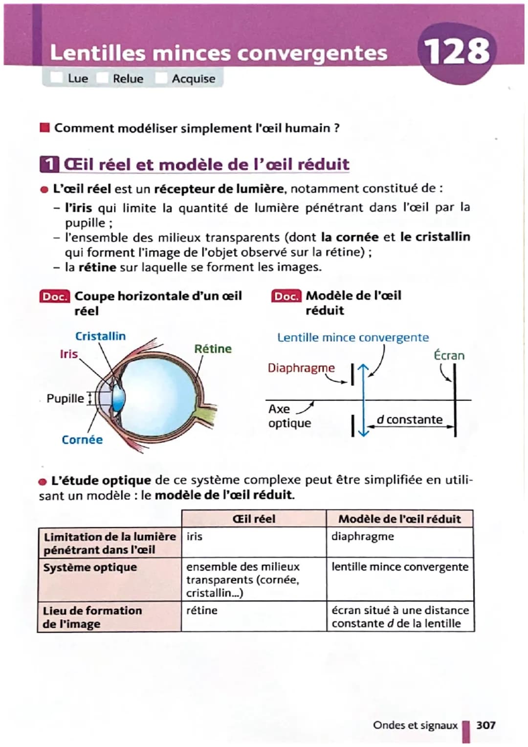 Émission et propagation
de la lumière
Lue Relue Acquise
126
Comment la lumière se propage-t-elle dans les différents milieux
matériels ?
1 É