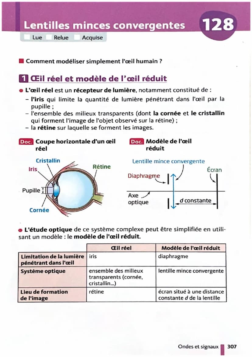 Émission et propagation
de la lumière
Lue Relue Acquise
126
Comment la lumière se propage-t-elle dans les différents milieux
matériels ?
1 É