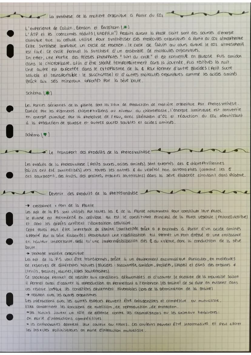 Chapitre 2
V
Elte
0²419+ 2039
C6H12O6 +60₂
oxydation eau :
Conditions de la photosynthes
La Photosynthese utilise du CO₂ et de l'eau (H₂0) P