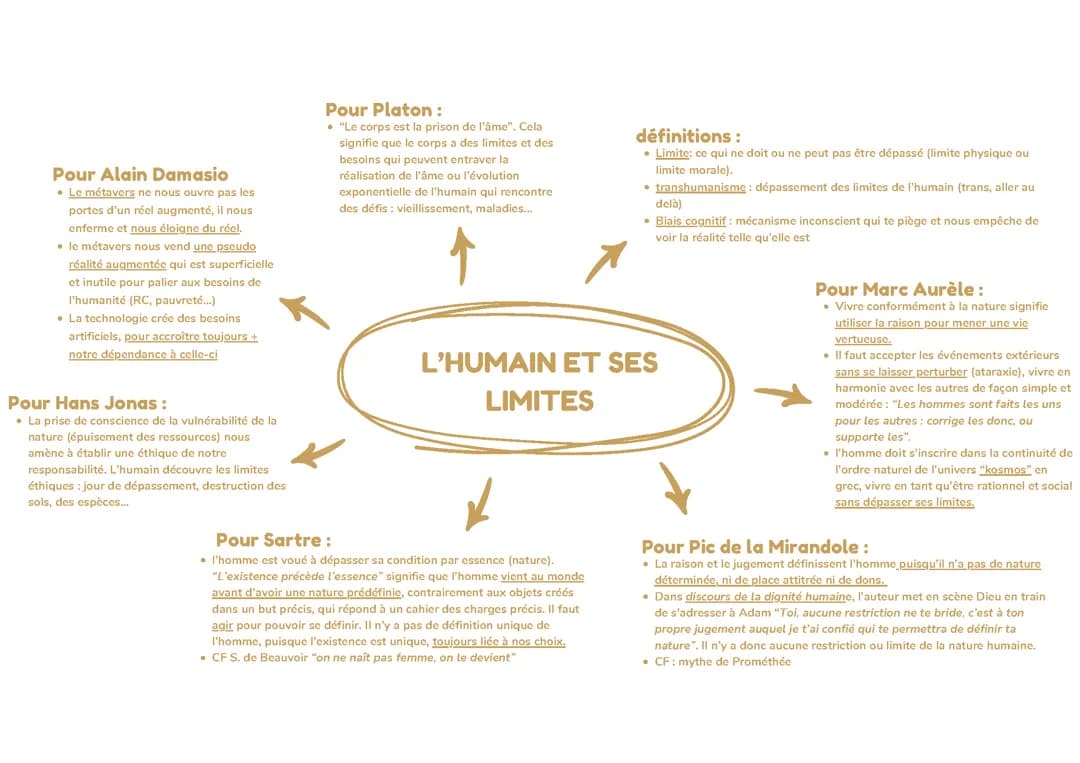 HLP fiche l'humain et ses limites
