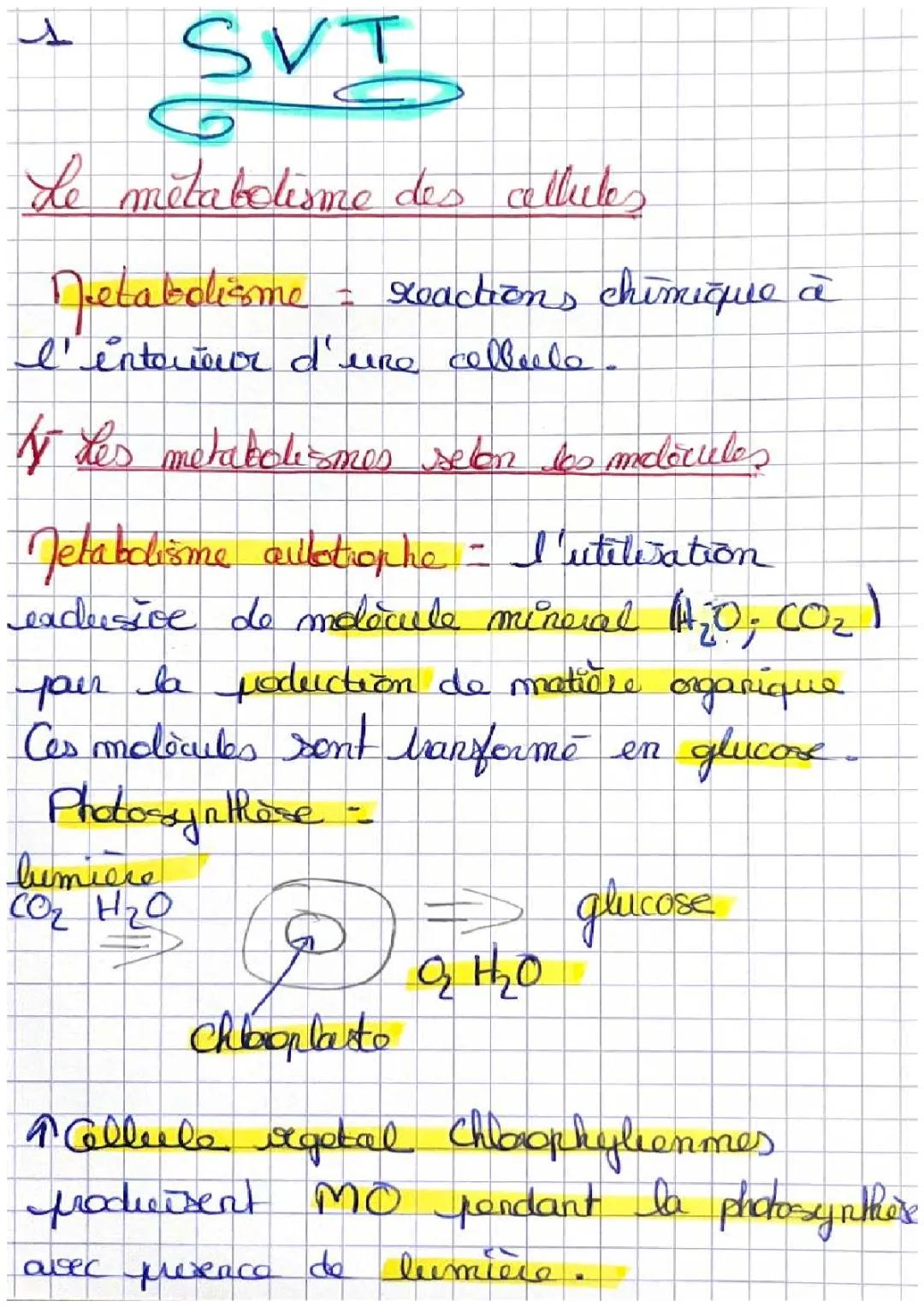 Aventure en SVT: Découvre le Métabolisme Cellulaire et la Photosynthèse