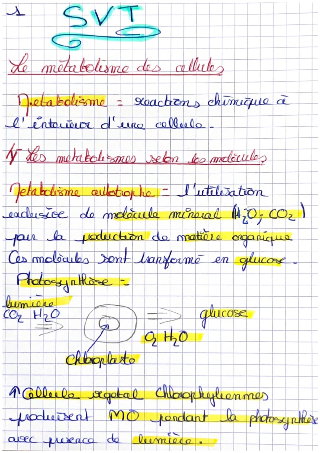 SVT
Le metabolisme des cellules
Metabolisme = reactions chimique à
l'entoueur d'une colleelo
s
4 Les metabolismes selon les molècules
Jetabo