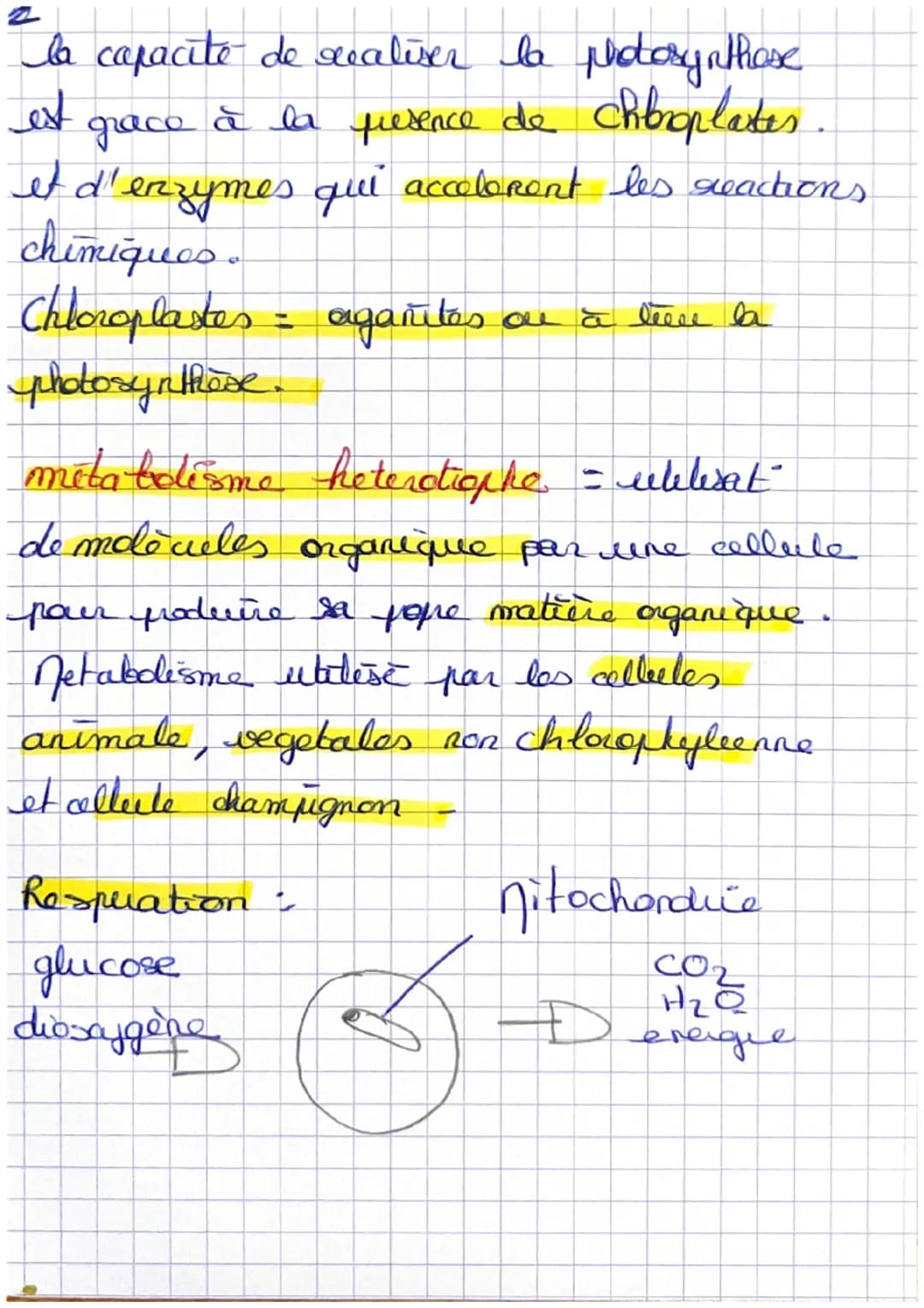 SVT
Le metabolisme des cellules
Metabolisme = reactions chimique à
l'entoueur d'une colleelo
s
4 Les metabolismes selon les molècules
Jetabo