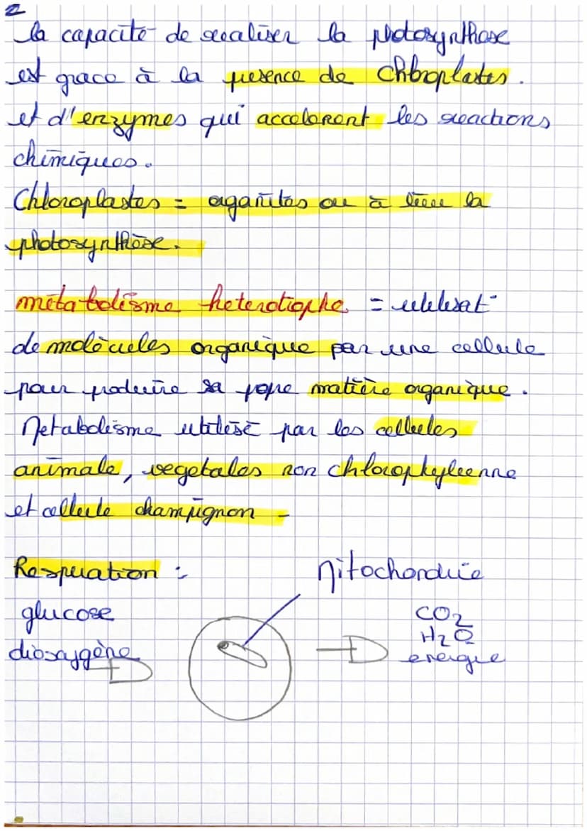 SVT
Le metabolisme des cellules
Metabolisme = reactions chimique à
l'entoueur d'une colleelo
s
4 Les metabolismes selon les molècules
Jetabo