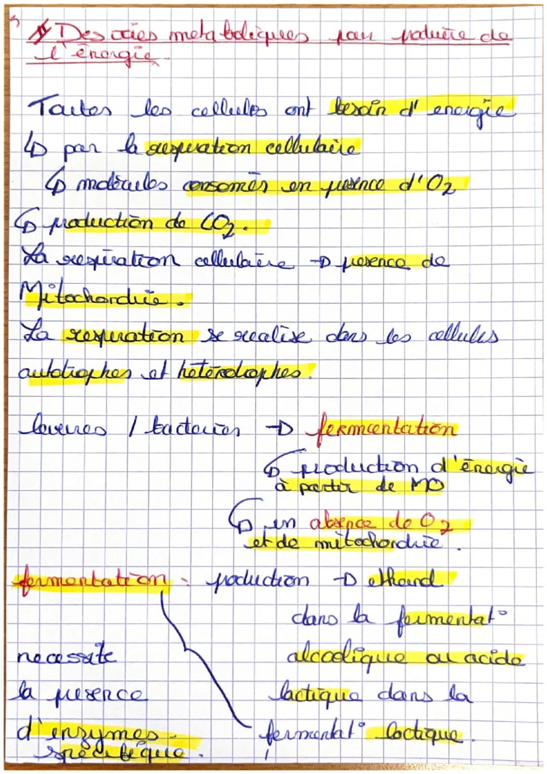 SVT
Le metabolisme des cellules
Metabolisme = reactions chimique à
l'entoueur d'une colleelo
s
4 Les metabolismes selon les molècules
Jetabo