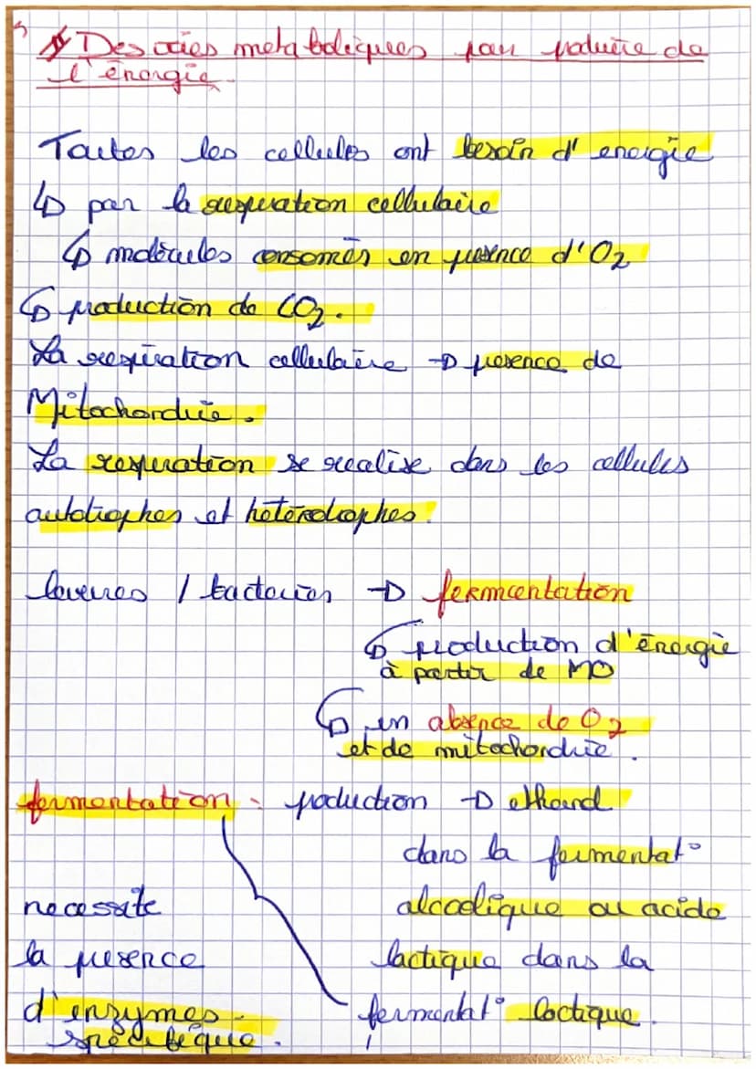 SVT
Le metabolisme des cellules
Metabolisme = reactions chimique à
l'entoueur d'une colleelo
s
4 Les metabolismes selon les molècules
Jetabo