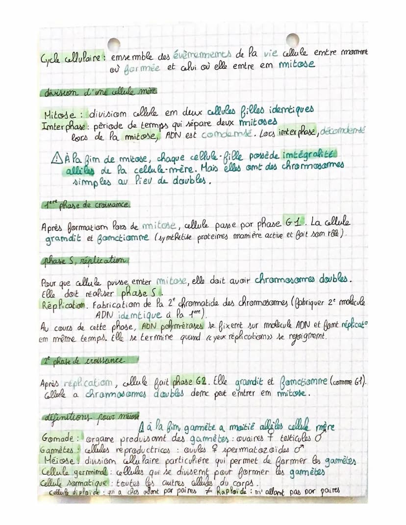 THEME 1
Chapitre 2: Divisions cellulaires et transmiss.com
du patrimoine gémétique
chromosomes, gènes, alleles
46 molécules ADN appellées ch