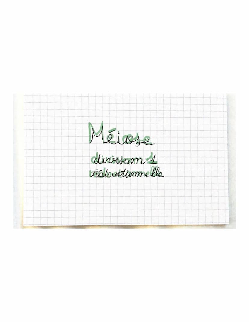 THEME 1
Chapitre 2: Divisions cellulaires et transmiss.com
du patrimoine gémétique
chromosomes, gènes, alleles
46 molécules ADN appellées ch