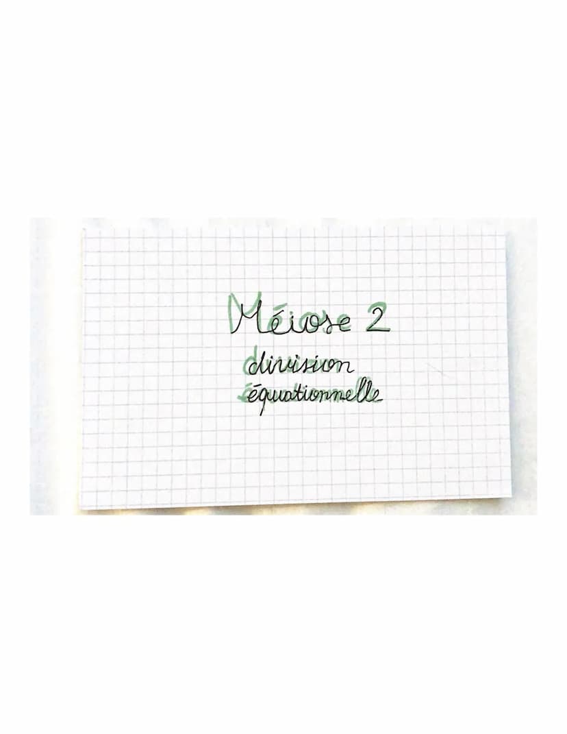 THEME 1
Chapitre 2: Divisions cellulaires et transmiss.com
du patrimoine gémétique
chromosomes, gènes, alleles
46 molécules ADN appellées ch