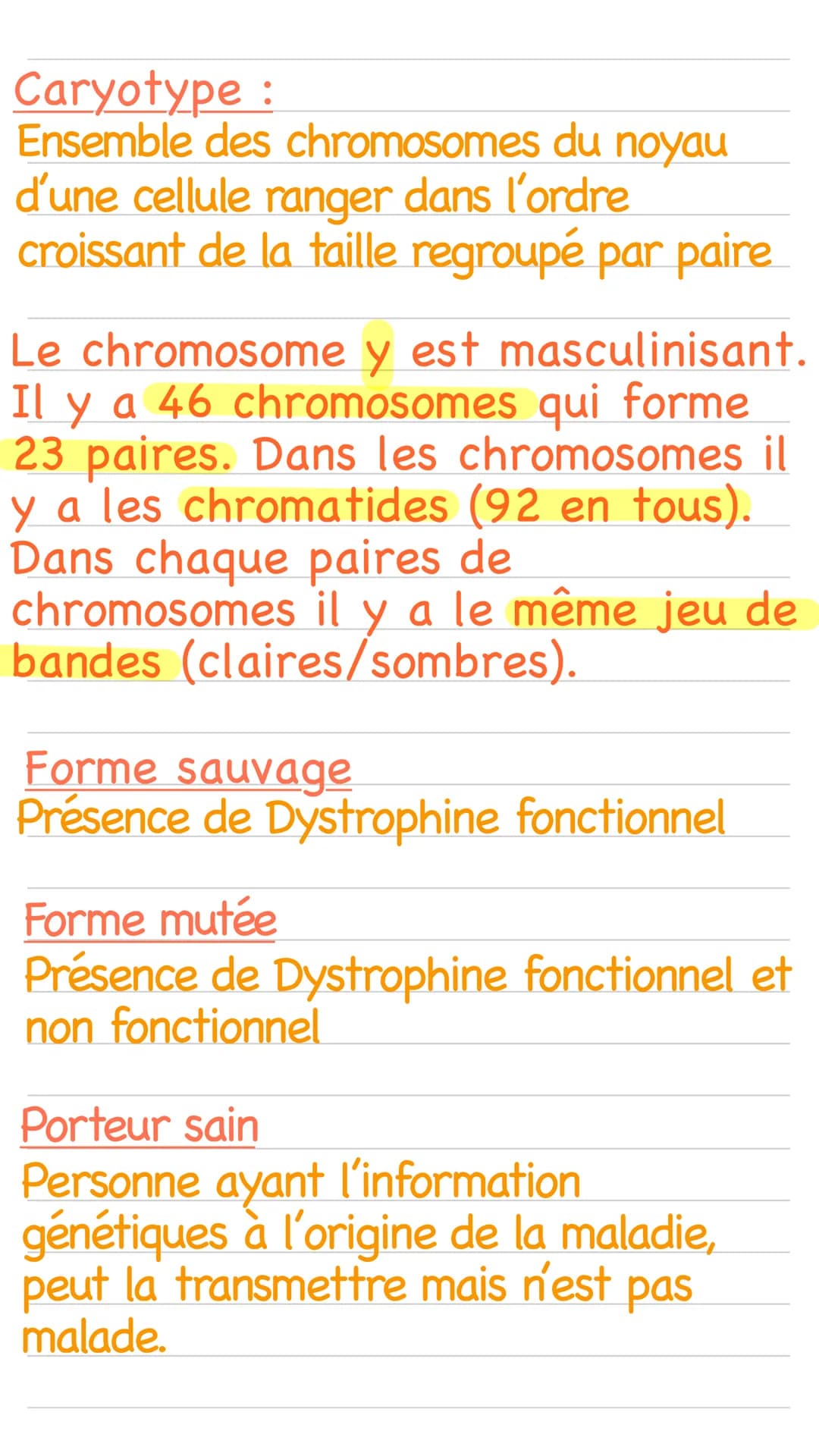 Caryotype :
Ensemble des chromosomes du noyau
d'une cellule ranger dans l'ordre
croissant de la taille regroupé par paire
Le chromosome y es