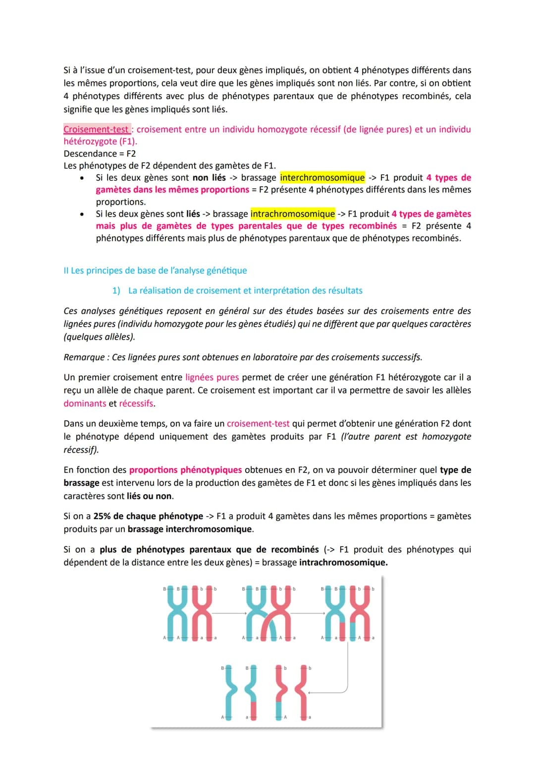 L'origine du génotype des individus
Comment la reproduction sexuée forme-t-elle des génomes individuels et contribue-t-elle à la
diversifica