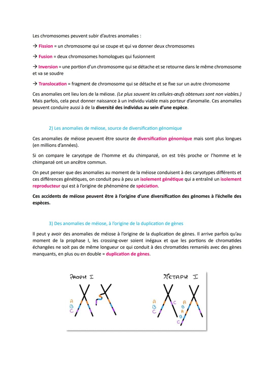 L'origine du génotype des individus
Comment la reproduction sexuée forme-t-elle des génomes individuels et contribue-t-elle à la
diversifica